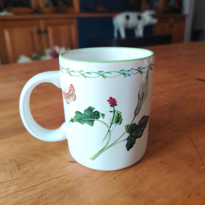 Studio Nova Large Mug in the Garden Bloom