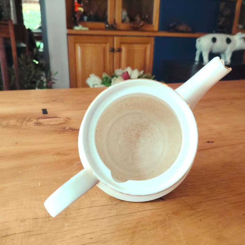 Paragon Fine Bone China Athena Tea Pot