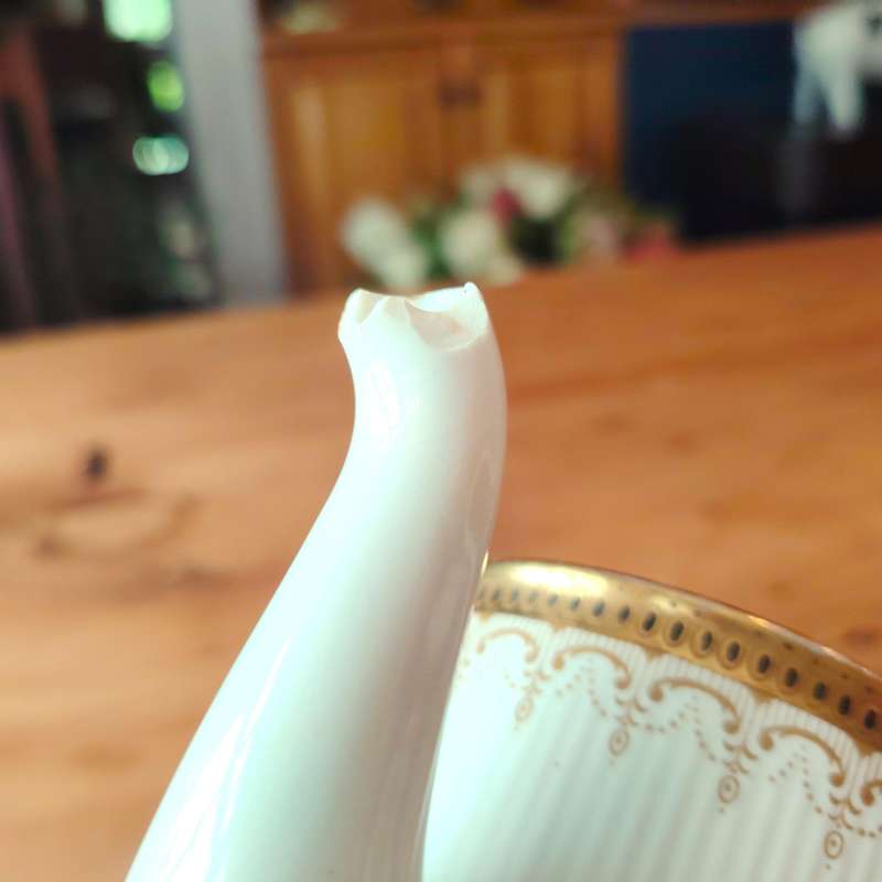 Paragon Fine Bone China Athena Tea Pot