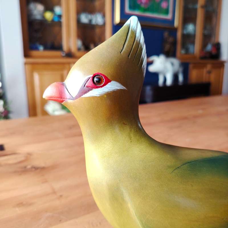 Feathers of Knysna Gallery carved and hand painted Knysna Lourie 359/975
