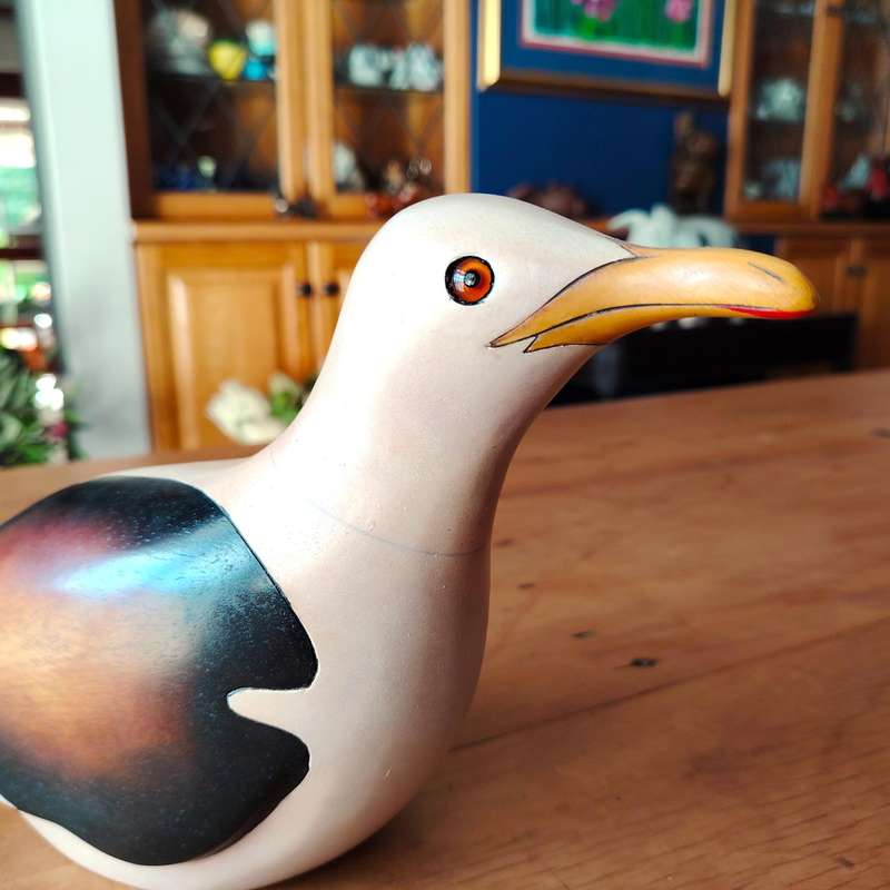 Feathers of Knysna carved and hand painted Large Male Lesser Black Backed Gull