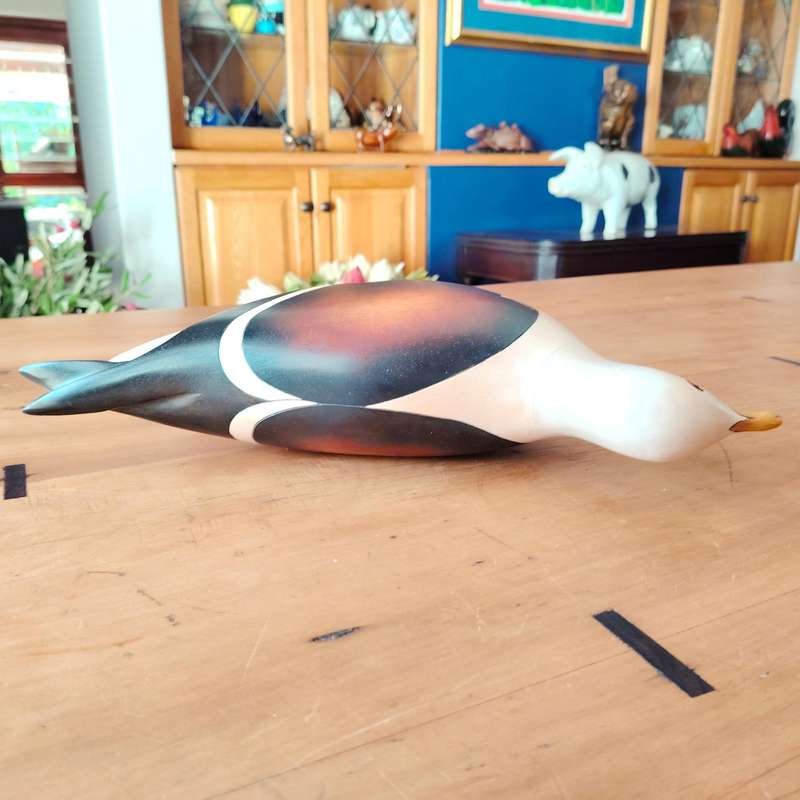 Feathers of Knysna carved and hand painted Large Male Lesser Black Backed Gull