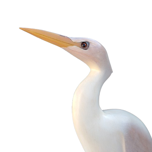 Feathers of Knysna carved and hand painted Female Egret Ltd Bird