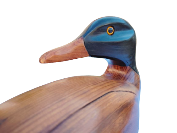 Feathers of Knysna carved and hand painted Antique Duck