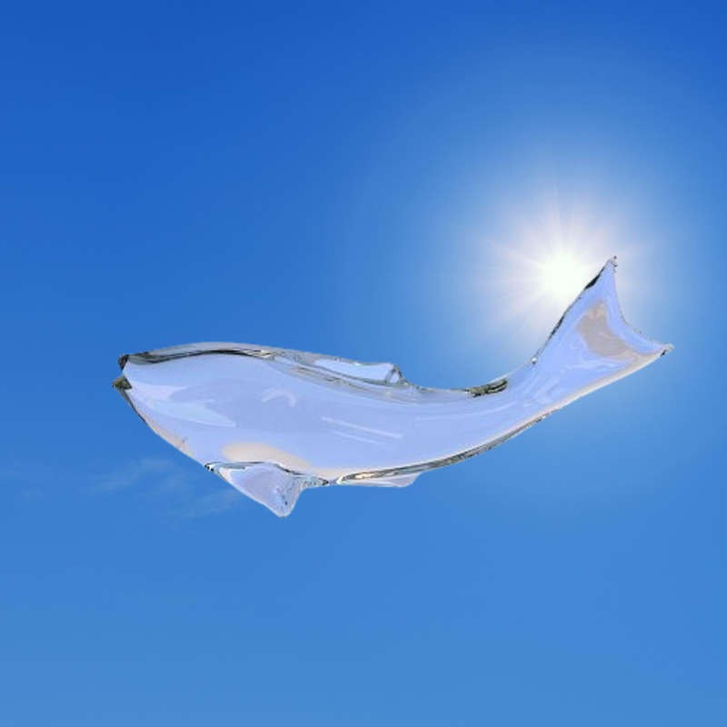 Large Studio Clear Glass Fish