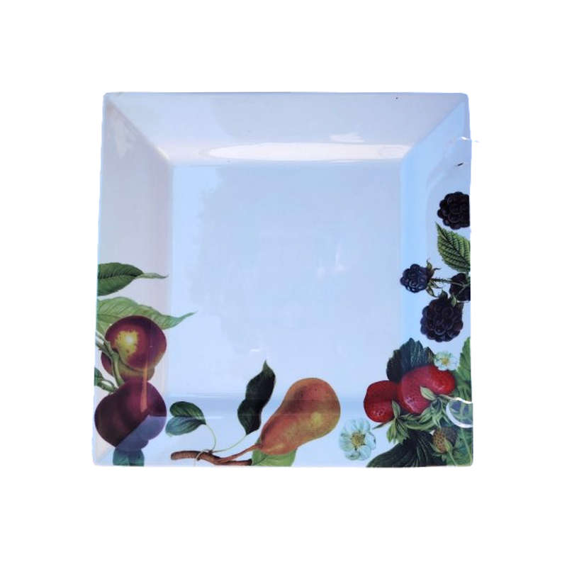 Living Art by Stoneage Australia  Fine Bone China Large Square Plate