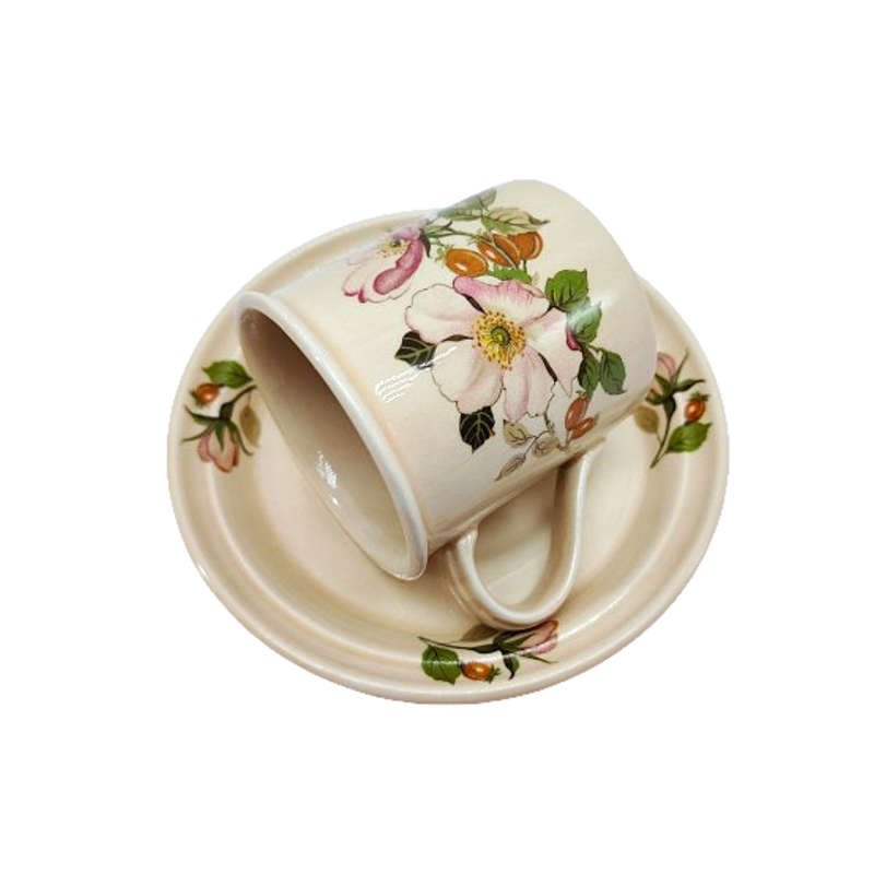 Portmeirion vintage apple blossom cup and saucer Duo