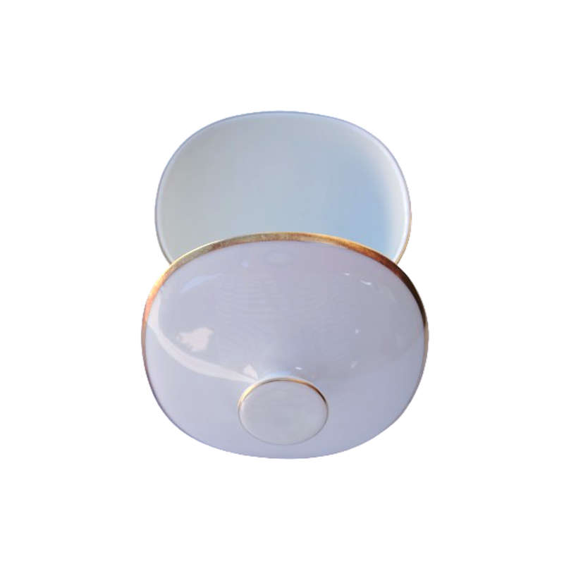 Rosenthal Delicate white porcelain with Gold Boarder
