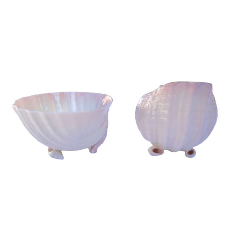 Rare Belleek Neptune Shell Pink Luster Milk Jug and Sugar Bowl