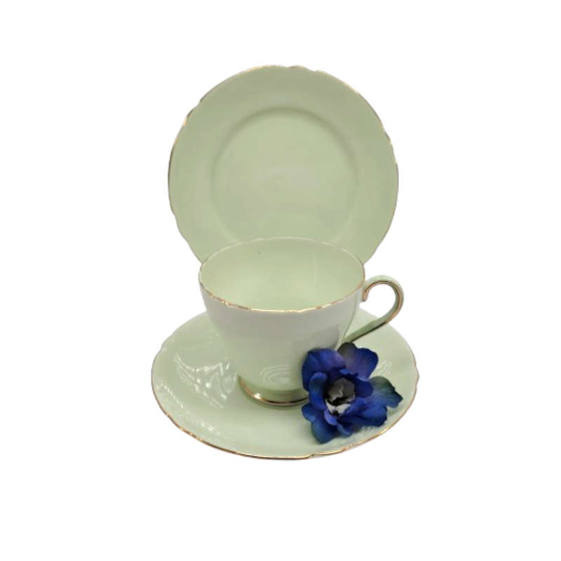 Shelley Pastel Green Trio Cup Saucer and Plate
