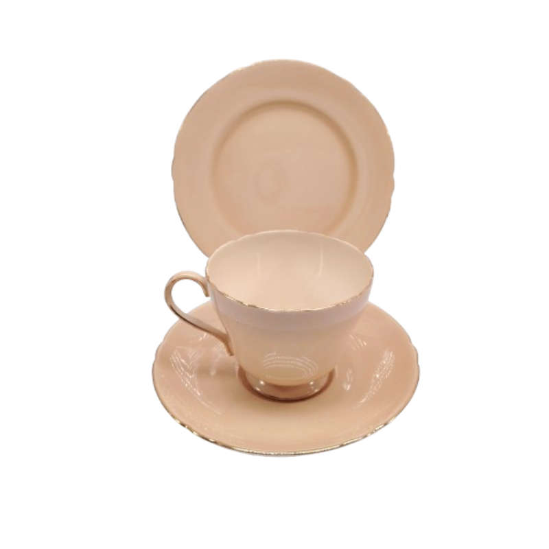 Shelley Pastel Peach Trio Cup Saucer and Plate