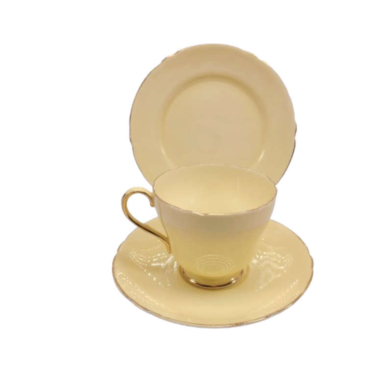 Shelley Pastel Yellow Trio Cup Saucer and Plate