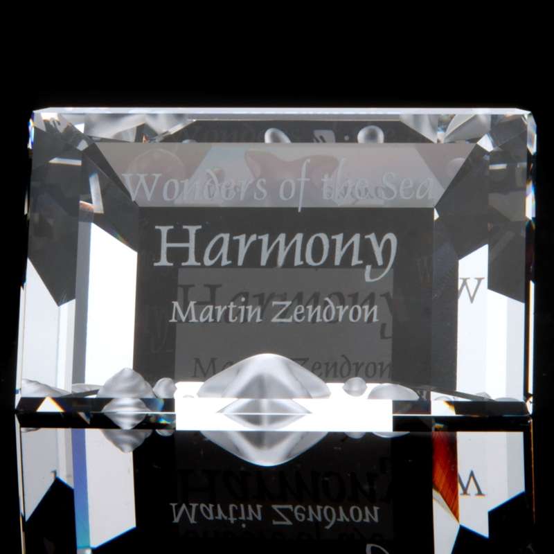 Swarovski Crystal Wonders Of The Sea Harmony Title Plaque