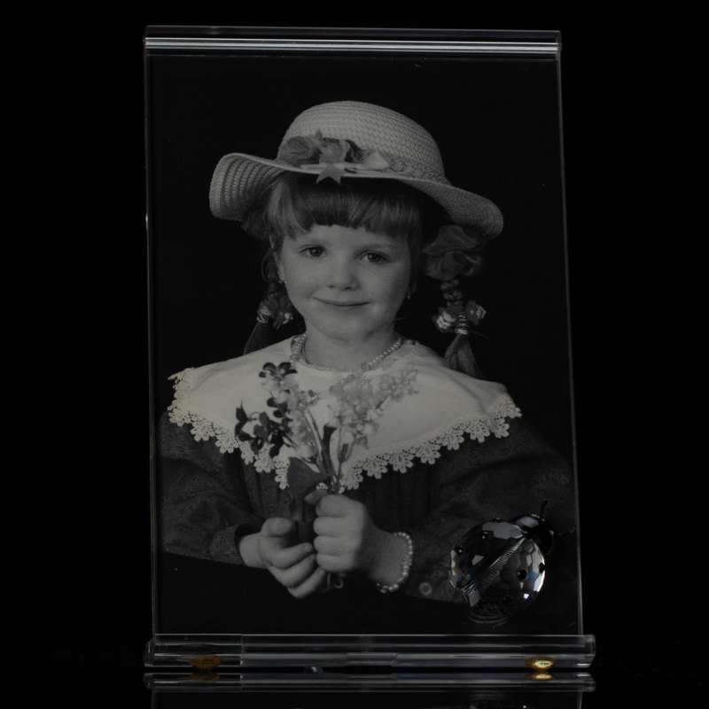 Swarovski Crystal Picture Frame with Ladybird (ladybug) Exquisite Accents