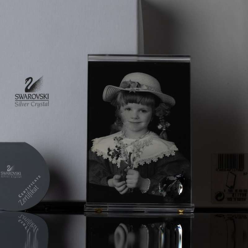 Swarovski Crystal Picture Frame with Ladybird (ladybug) Exquisite Accents