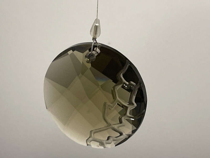 Swarovski Crystal SCS Bamboo Earth 2010 Window Ornament