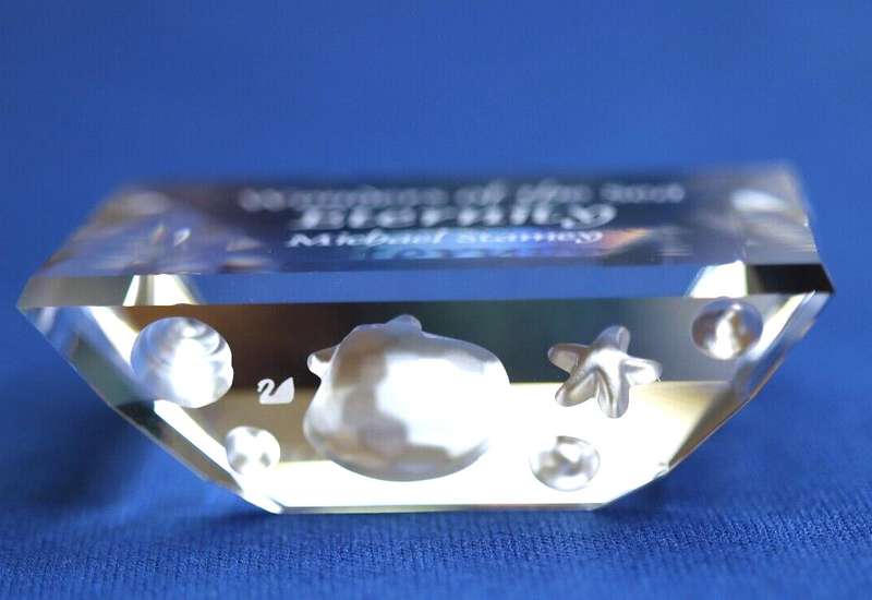 Swarovski Crystal Wonders Of The Sea Eternity Title Plaque