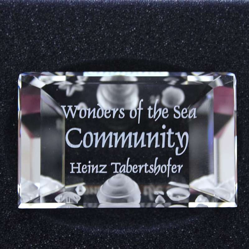 Swarovski Crystal Wonders Of The Sea Community Title Plaque