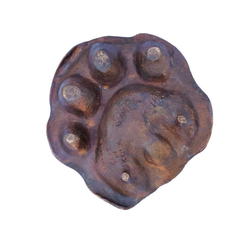 Simba Bronze Paw Print by Denis Mathews Kenya