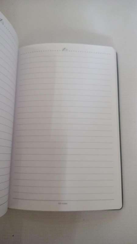 Book - Journal - Blue Bulls