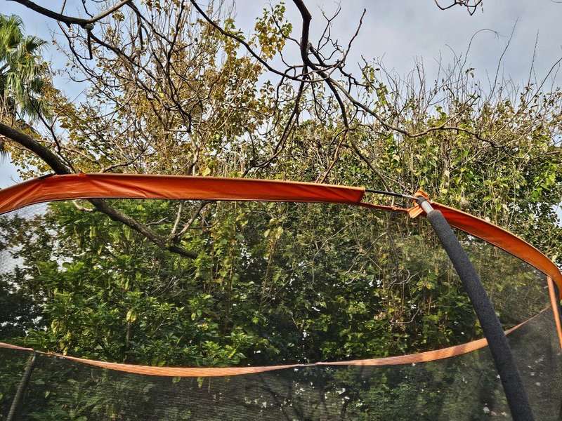 Bounceking 12ft Trampoline