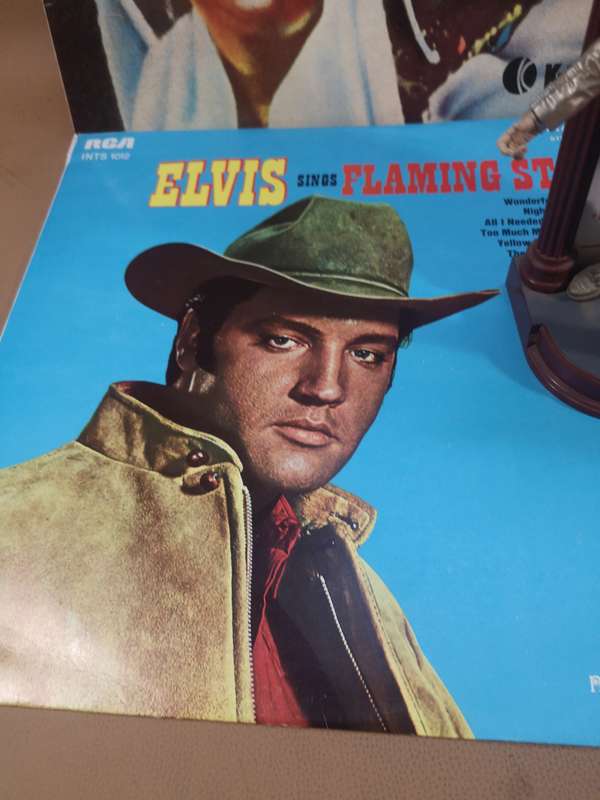 Todd McFarlane Toys Elvis Presley 1956 Elvis The Year in Gold Figure & LP Bundle