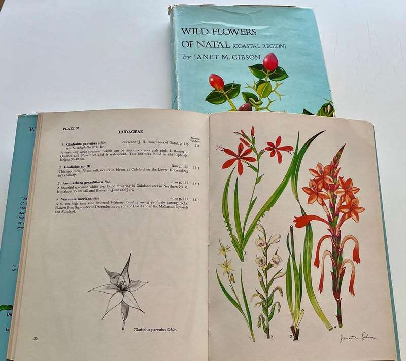Wild Flowers of Natal (Coastal Region) and Wild Flowers of Natal (Inland Region) Set of two