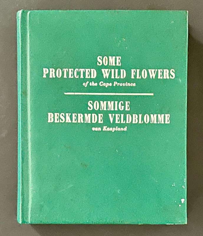 Some Protected Wild Flowers of the Cape Provonce