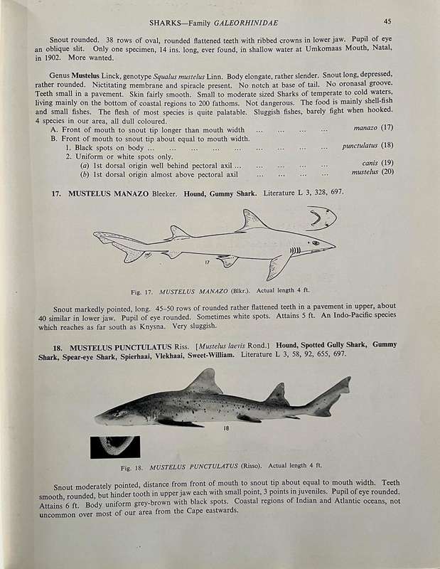The Sea Fishes of Southern Africa