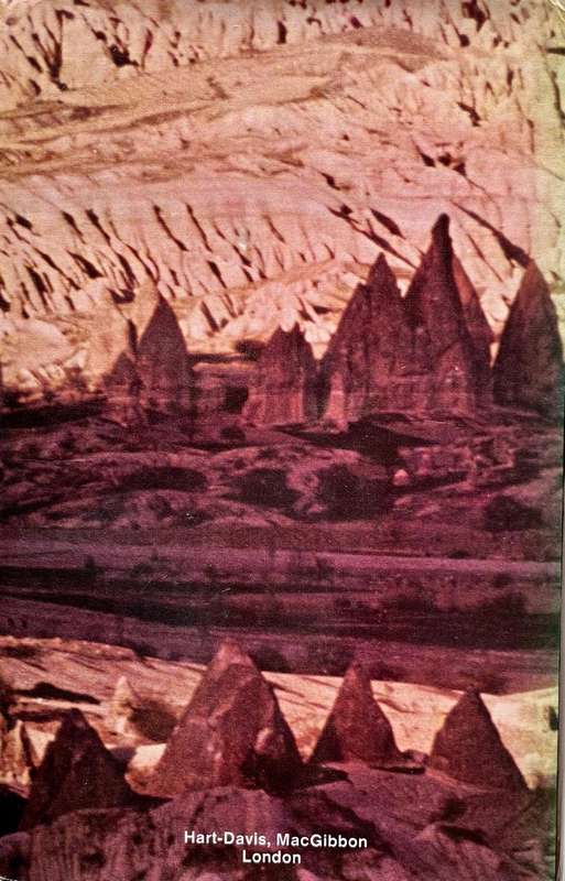 Earth's Voyage Through Time