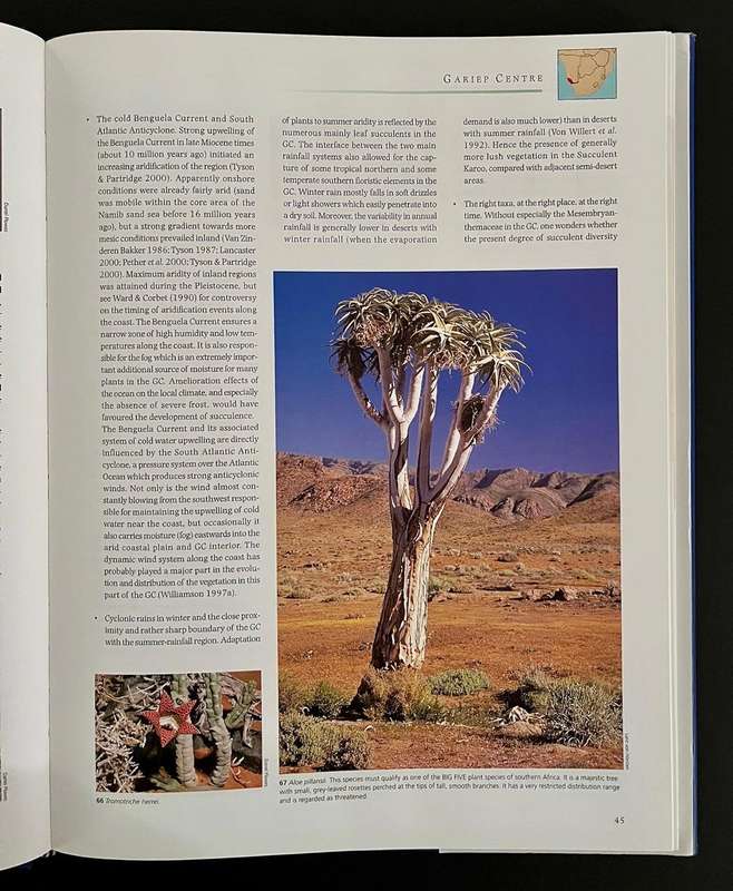 Regions of Floristic Endemism in Southern Africa - A Review with Emphasis on Succulents
