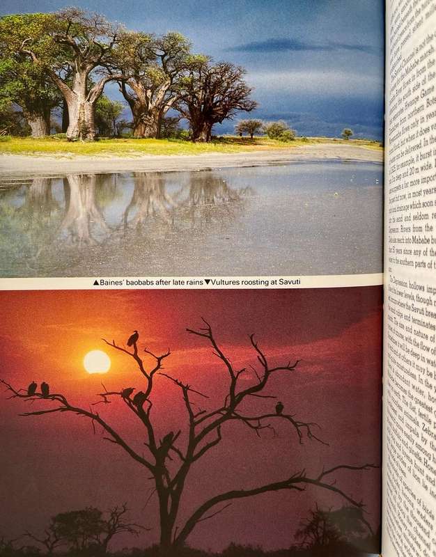Kalahari - Life's Variety in Dune and Delta