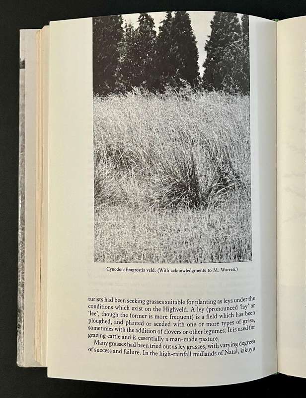 Grass - A Story of Frankenwald