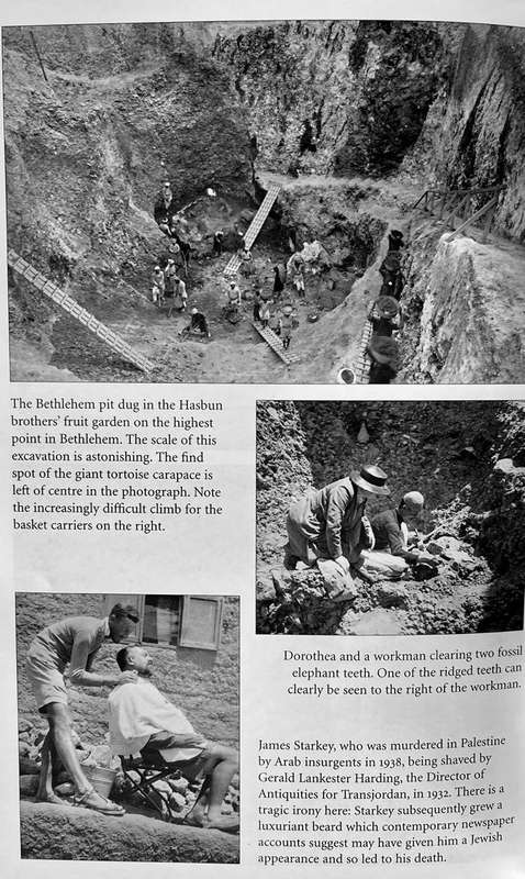 Discovering Dorothea - The Life of Pioneering Fossil-Hunter Dorothea Bate