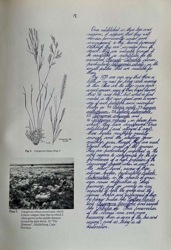 Acock's Notes: Key Grasses of South Africa