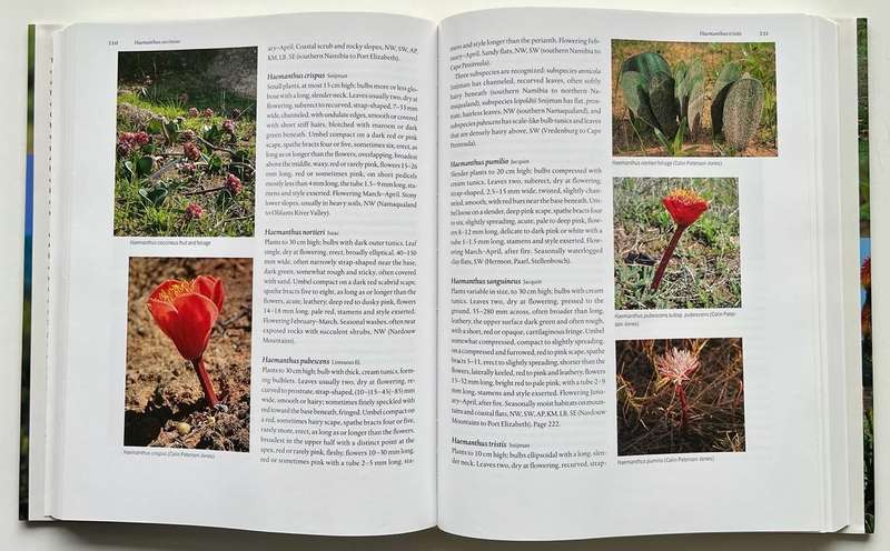 The Color Encyclopedia of Cape Bulbs