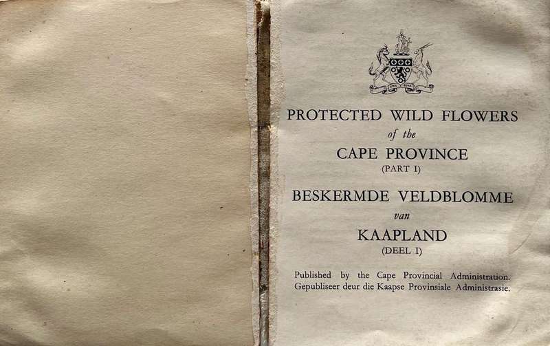 Protected Wild Flowers of the Cape Province Volume 1 and Volume 3