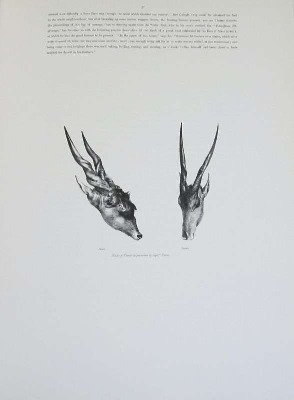 Portraits of the Game and Wild Animals of Southern Africa