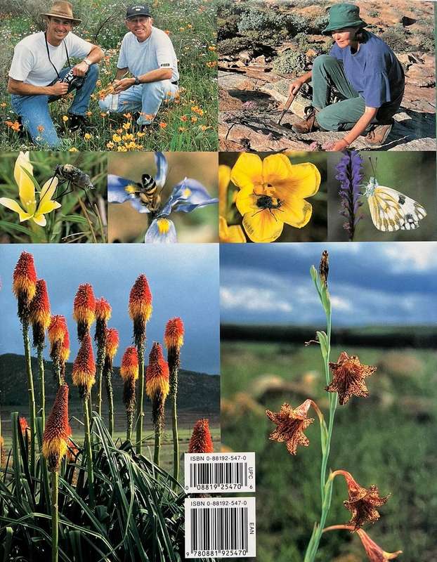 The Color Encyclopedia of Cape Bulbs