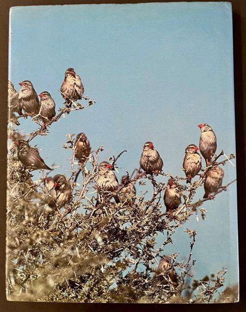 Everyone's Guide to South African Birds