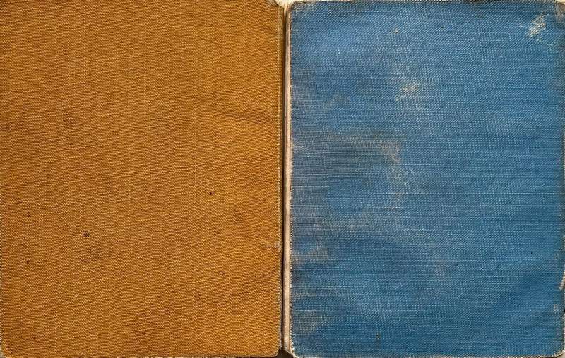 Protected Wild Flowers of the Cape Province Volume 1 and Volume 3