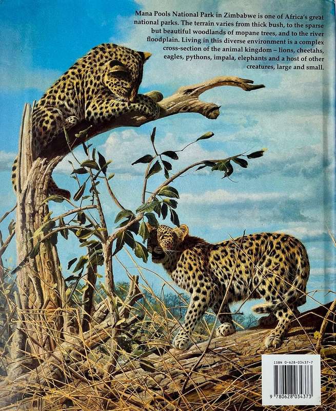 African Seasons - Wildlife at the Waterhole