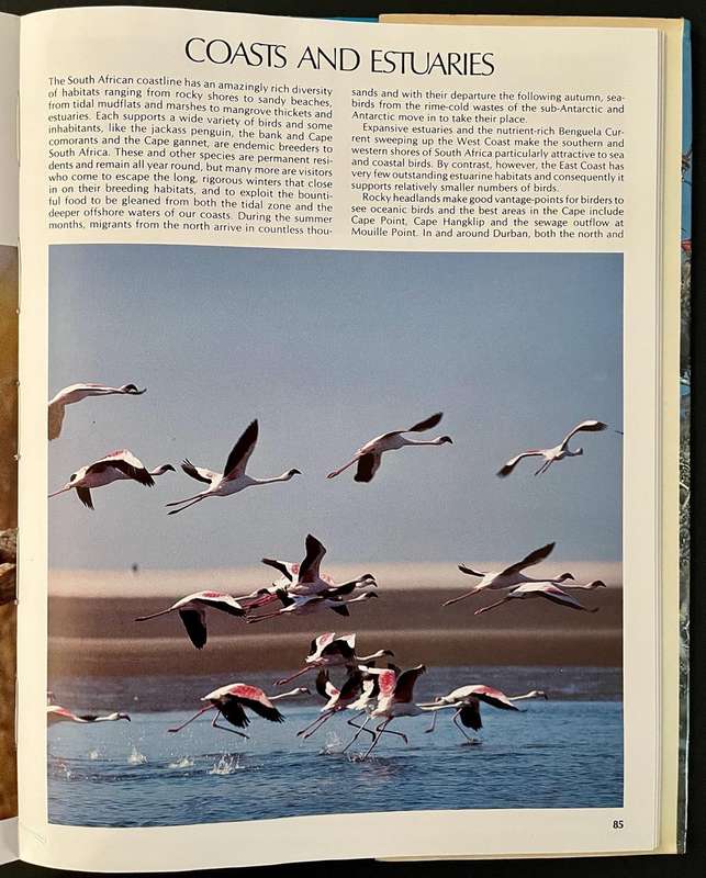 Everyone's Guide to South African Birds