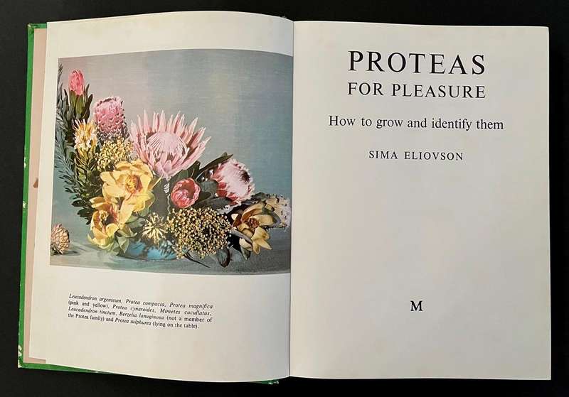 Proteas for Pleasure - How to Grow and Identify them