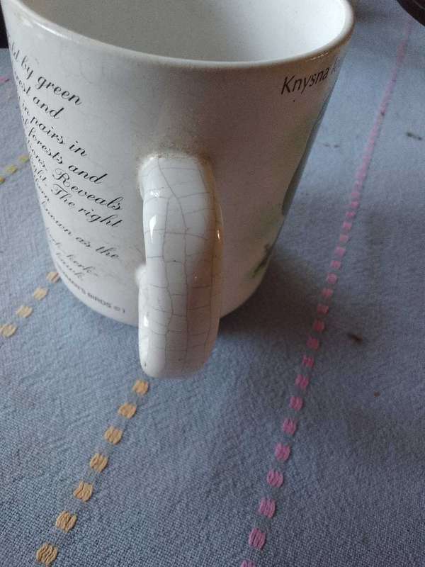 Edu mug Knysna Loerie