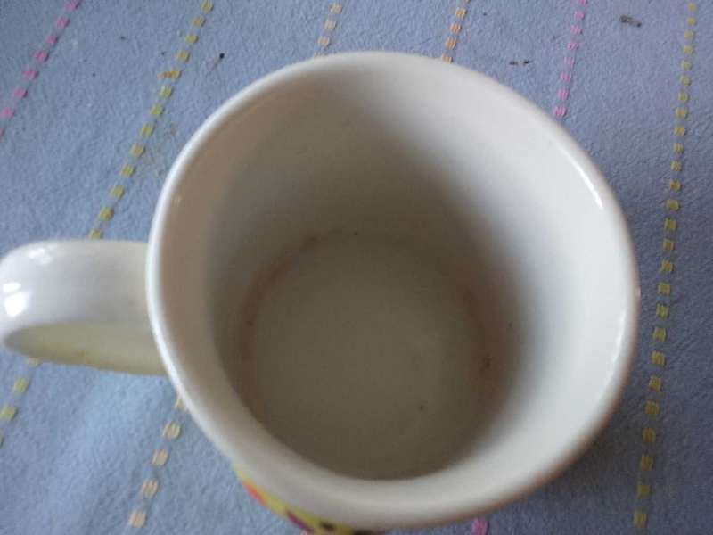 Stunning porcelain mug