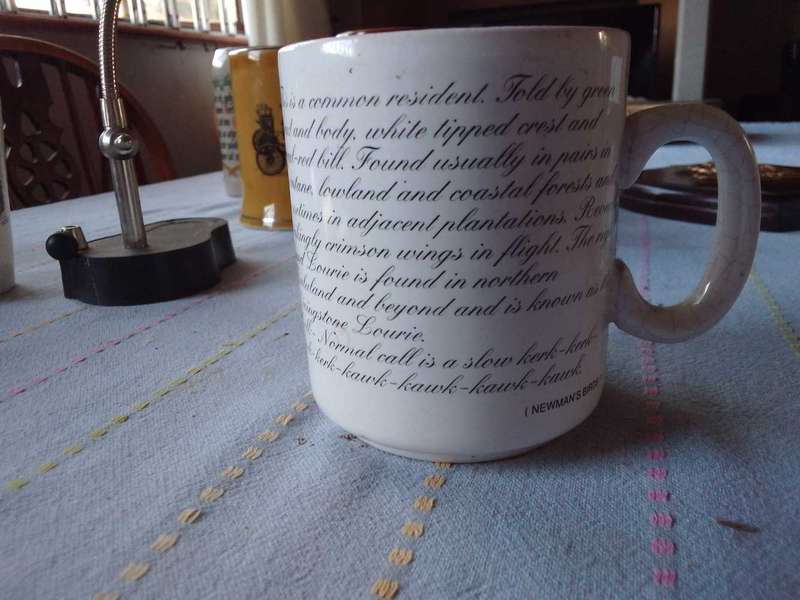 Edu mug Knysna Loerie