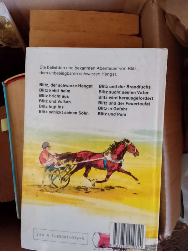Blitz und der feuerteufel