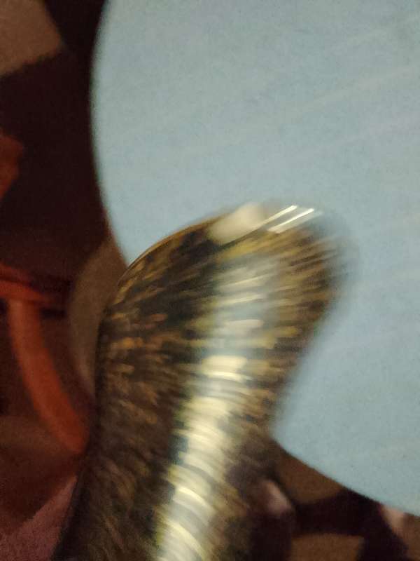 HOHR vase (Has 2 chips as per photo's )