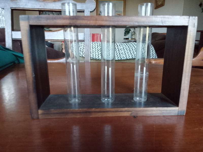 laboratory test tubes can be used as decorative item or vases